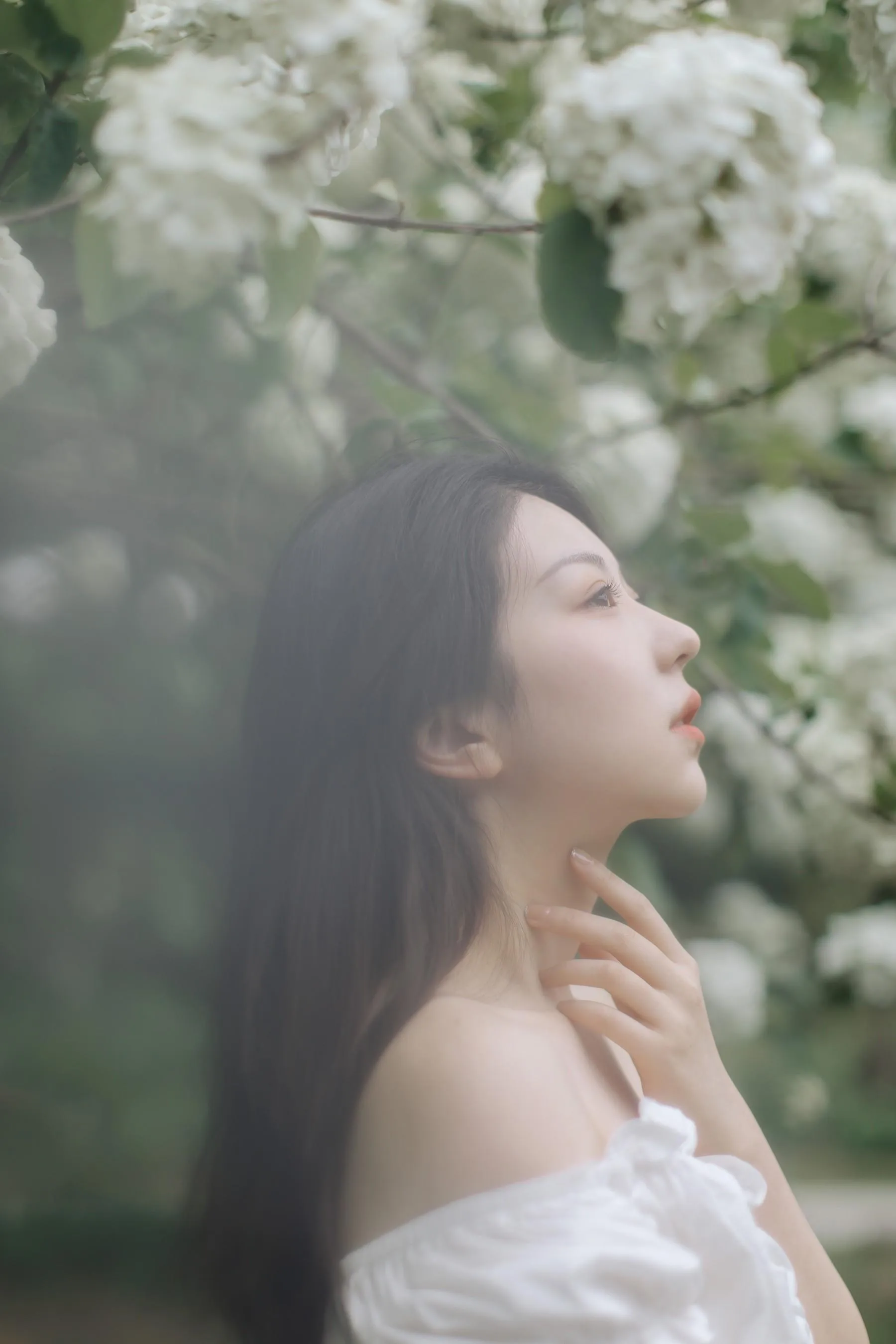 [YITUYU艺图语]2021.12.31 绣球花开 小tom [22P]插图1
